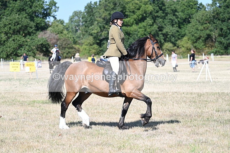 WJ7_3770 - Class 9 Mountain & Moorland Ridden