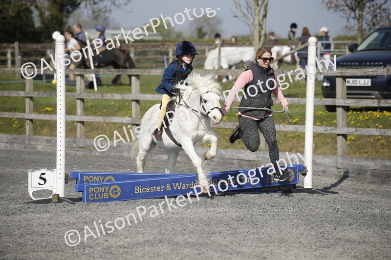 20250412-0189 - Show Jumping