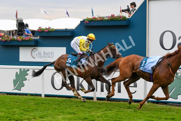 170623-Race 1-Kihavah-0220 - Race 1 2.00pm Queen Mother's Cup Handicap