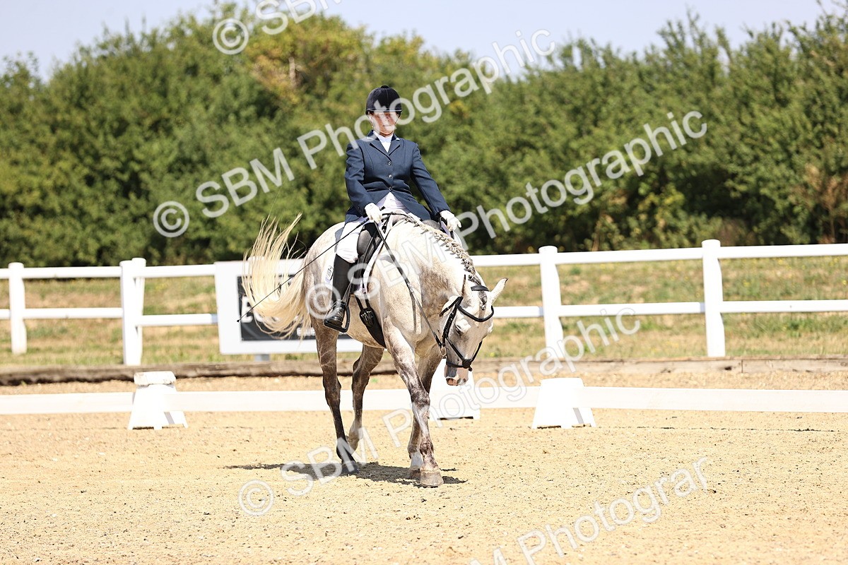 SBM_003945 - Intro 2