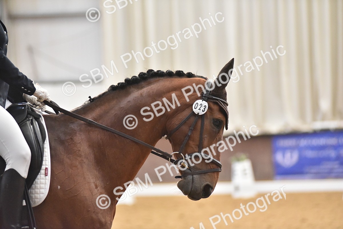 SBM_009619 - Class 11 - Elementary 5