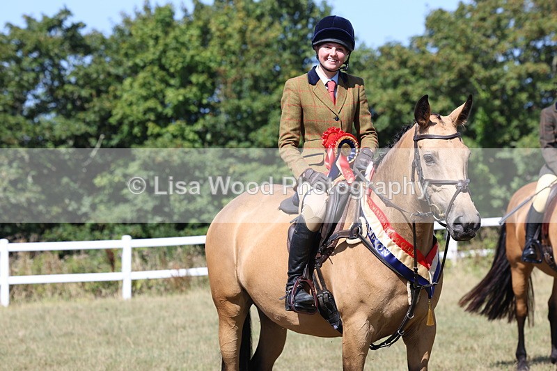 3E7A6478 - Working Hunter Championship