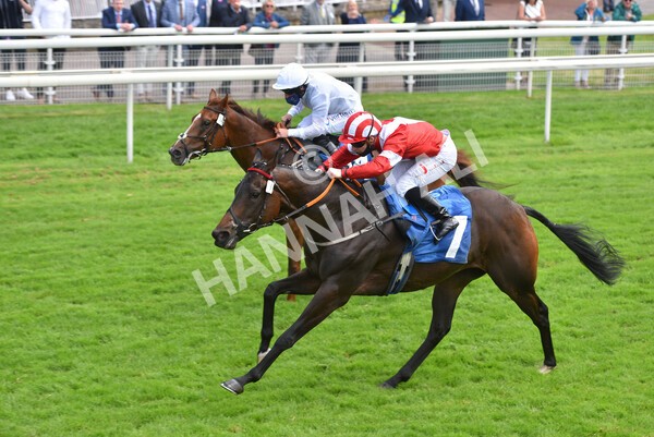 yr10072021r1-18 - Race 1: 1.45pm John Smith's Racing Stakes