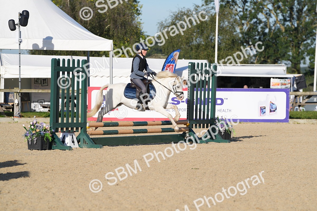 SBM_34386 - J62 - Clear Round 50cm