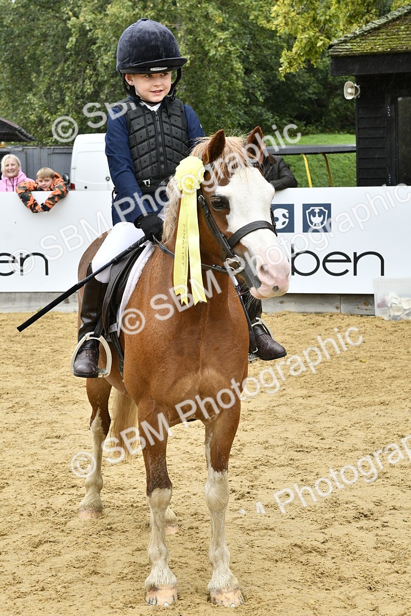 SBM_71005 - J3 - Mini Tour Junior Pony 40cm championship