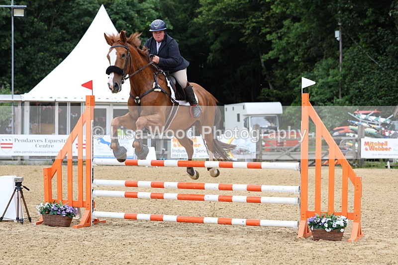 3E7A6143 - Class 4: Senior British Novice/90cm open