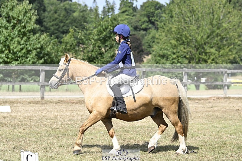 250821A-122417-15541 - DR 11.00 to 12.00