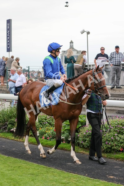yr20082021r7-12 - Race 7 5.10pm Sky Bet Mile
