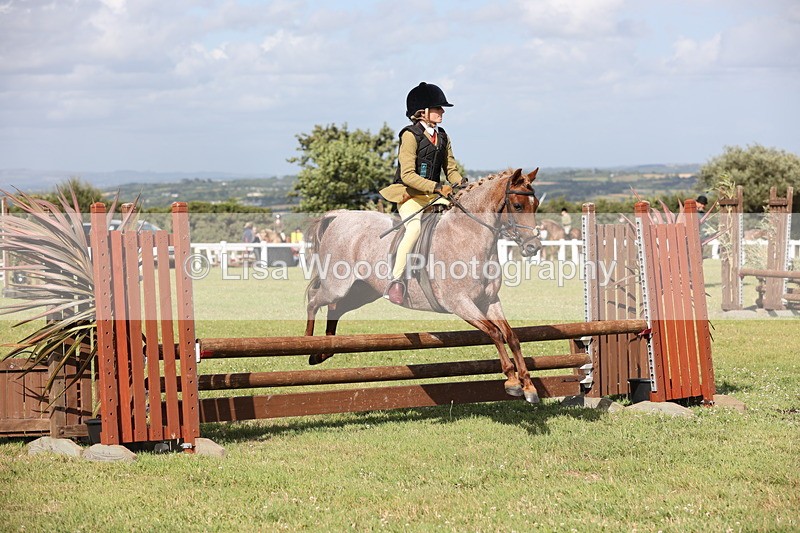 JPP_2820 - Class 20: Working Hunter 70cm