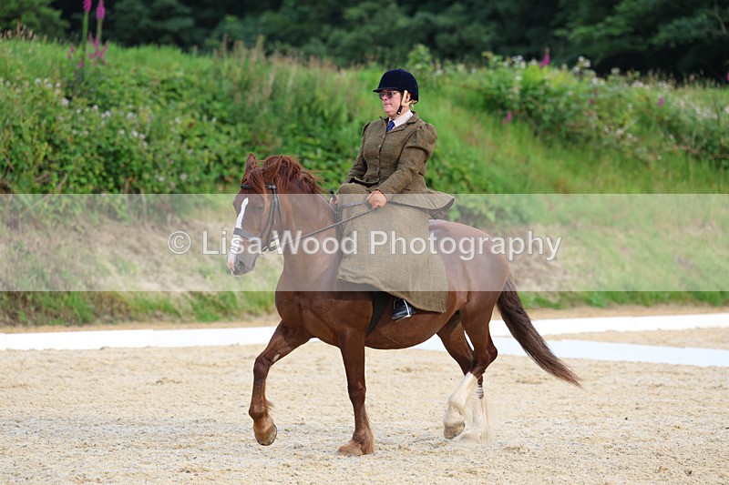 3E7A2045 - Class 3: Prelim 2 2024 Section A