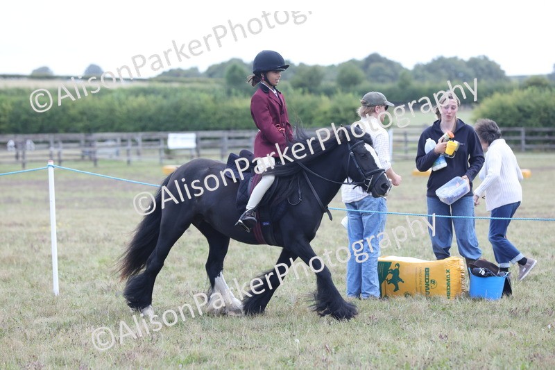 20250831-2364 - Class 16 - Family Pony