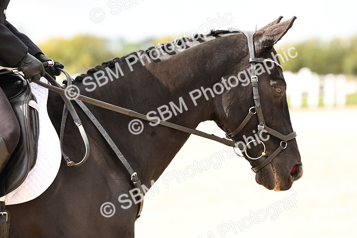 SBM_004682 - Class 69 - Novice 2