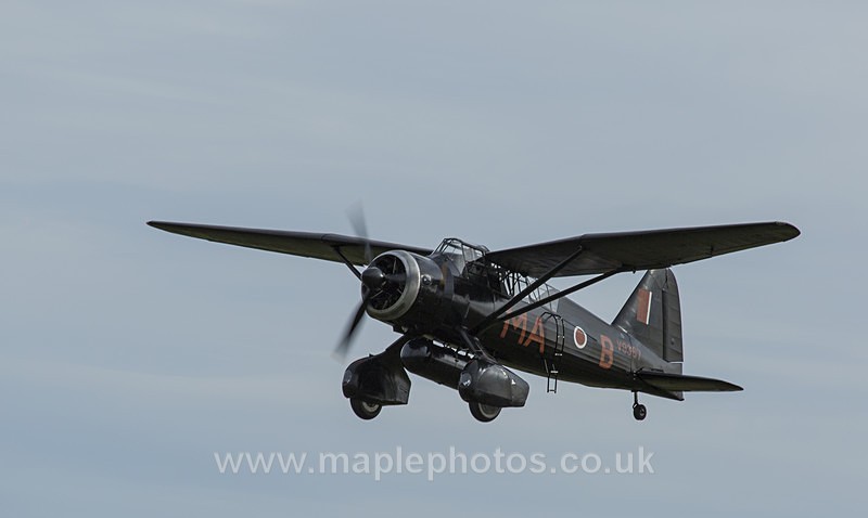 Westland Lysander in Flight