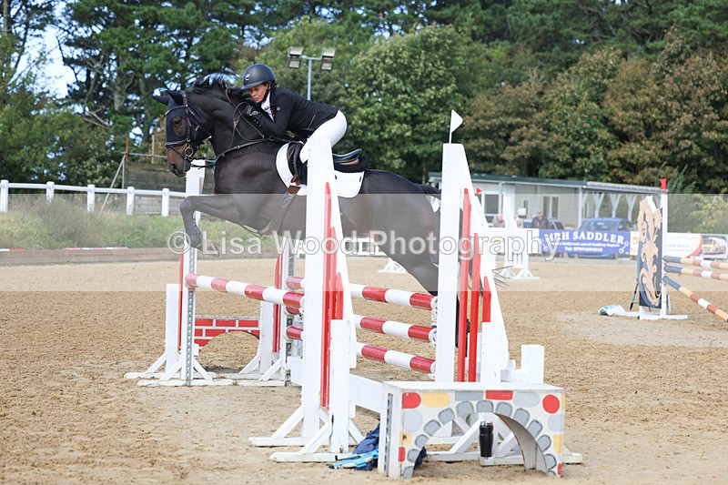 3E7A9234 - Class 9: Senior British Novice/90cm open
