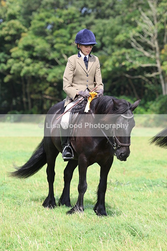 3E7A5926 - Class 26 and 27: 70cm Working Hunter