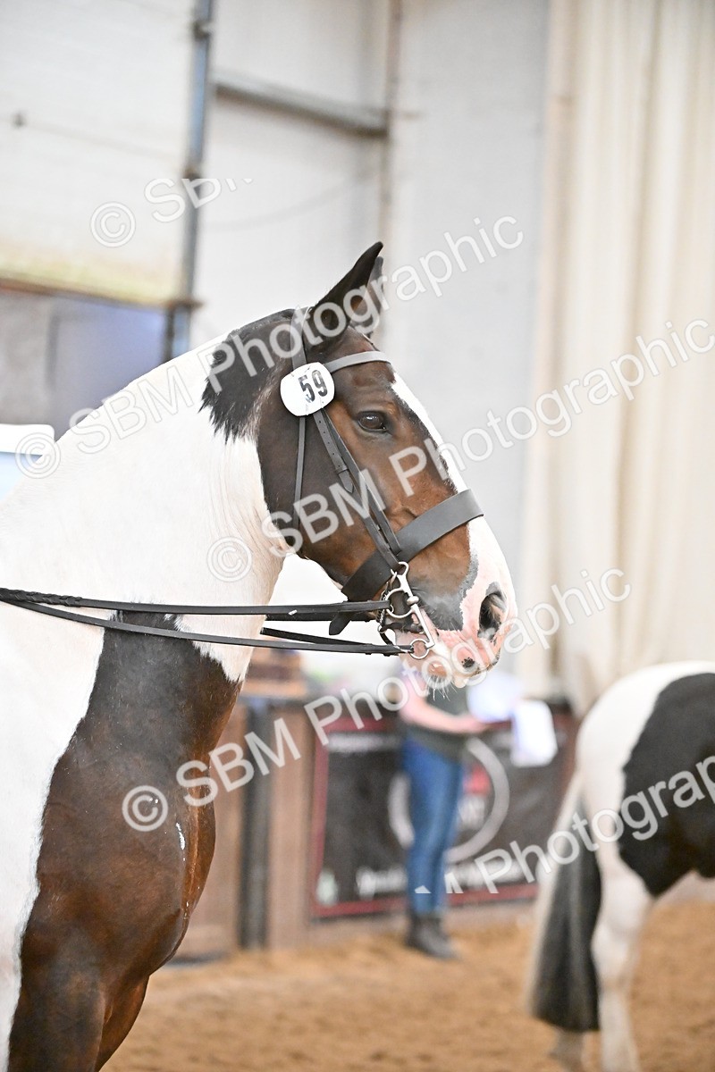 SBM_002652 - Class 28,29 - Ridden Irish & Coloured