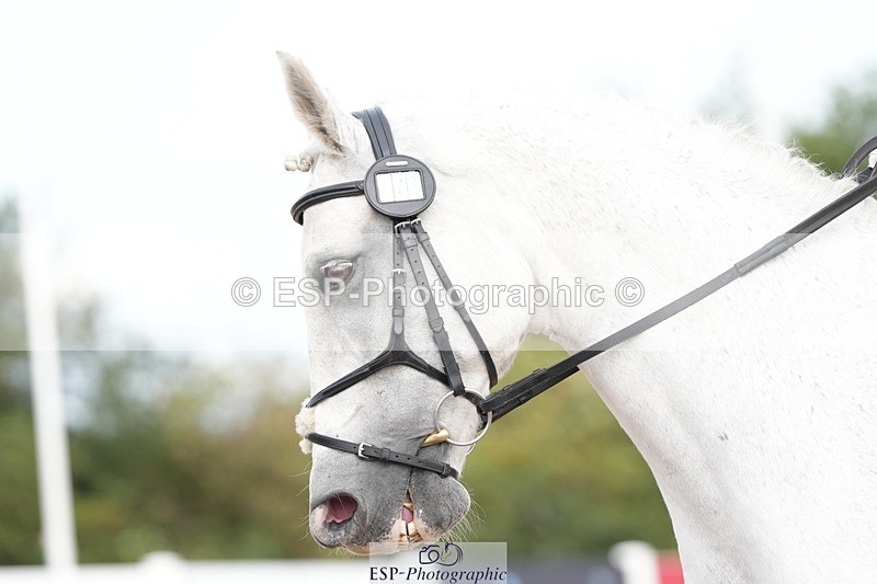 250906-112158-01978 - 079-Sophie.ClarkBallydaniel.Jack