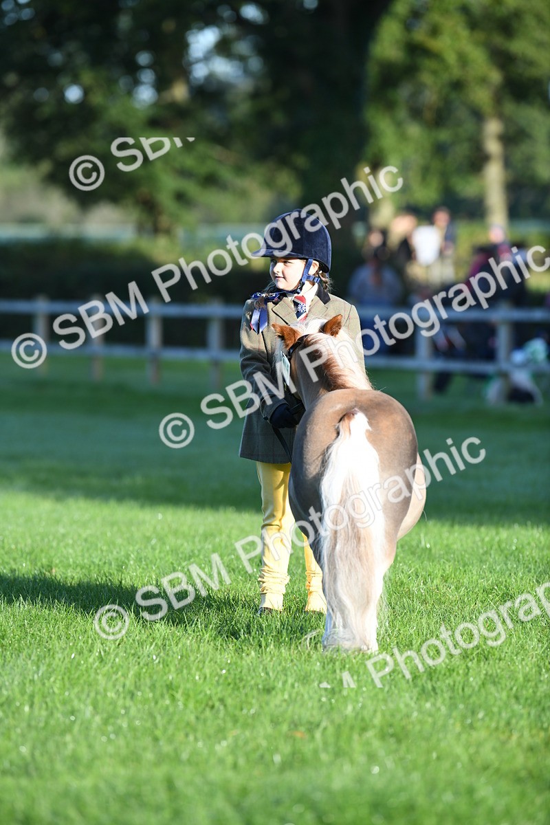 SBM_32757 - S15 - Condition & Turnout In Hand