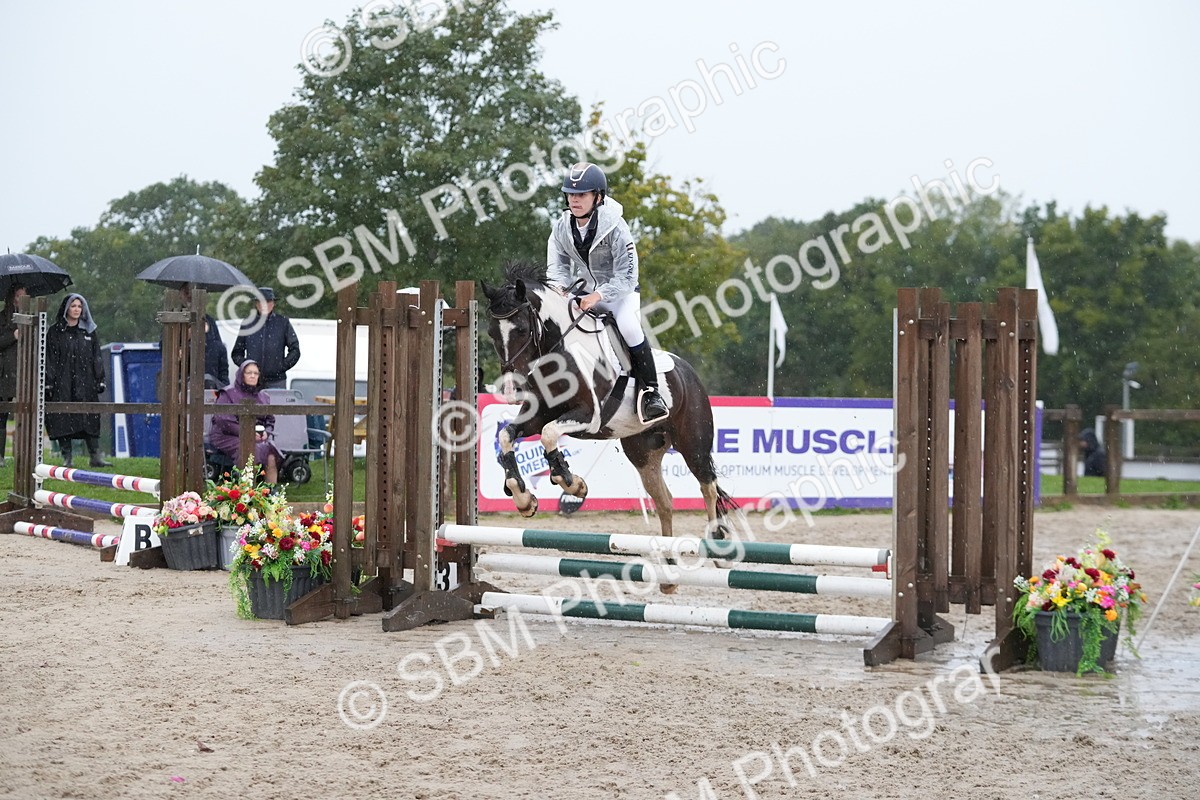 SBM_36024 - J5 - Junior Pony 50cm Championship