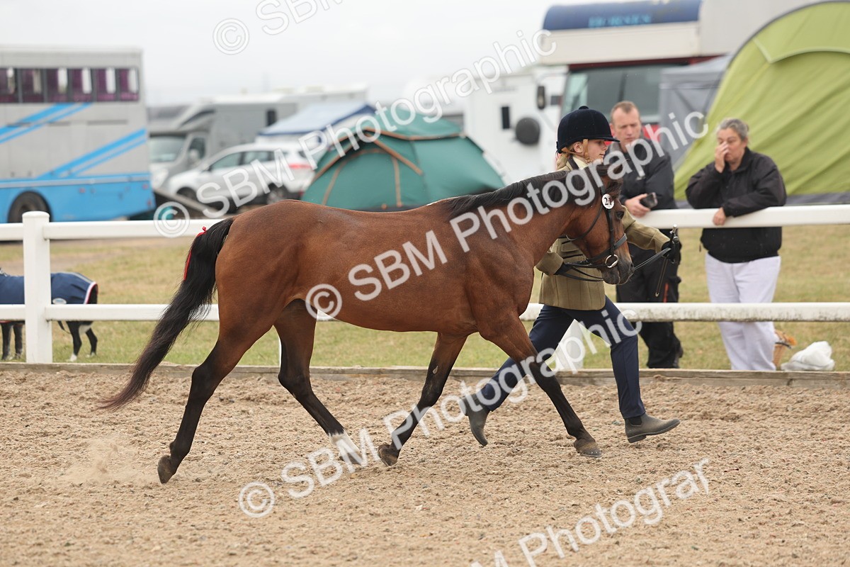 SBM_00505 - Class 13 Young Handler