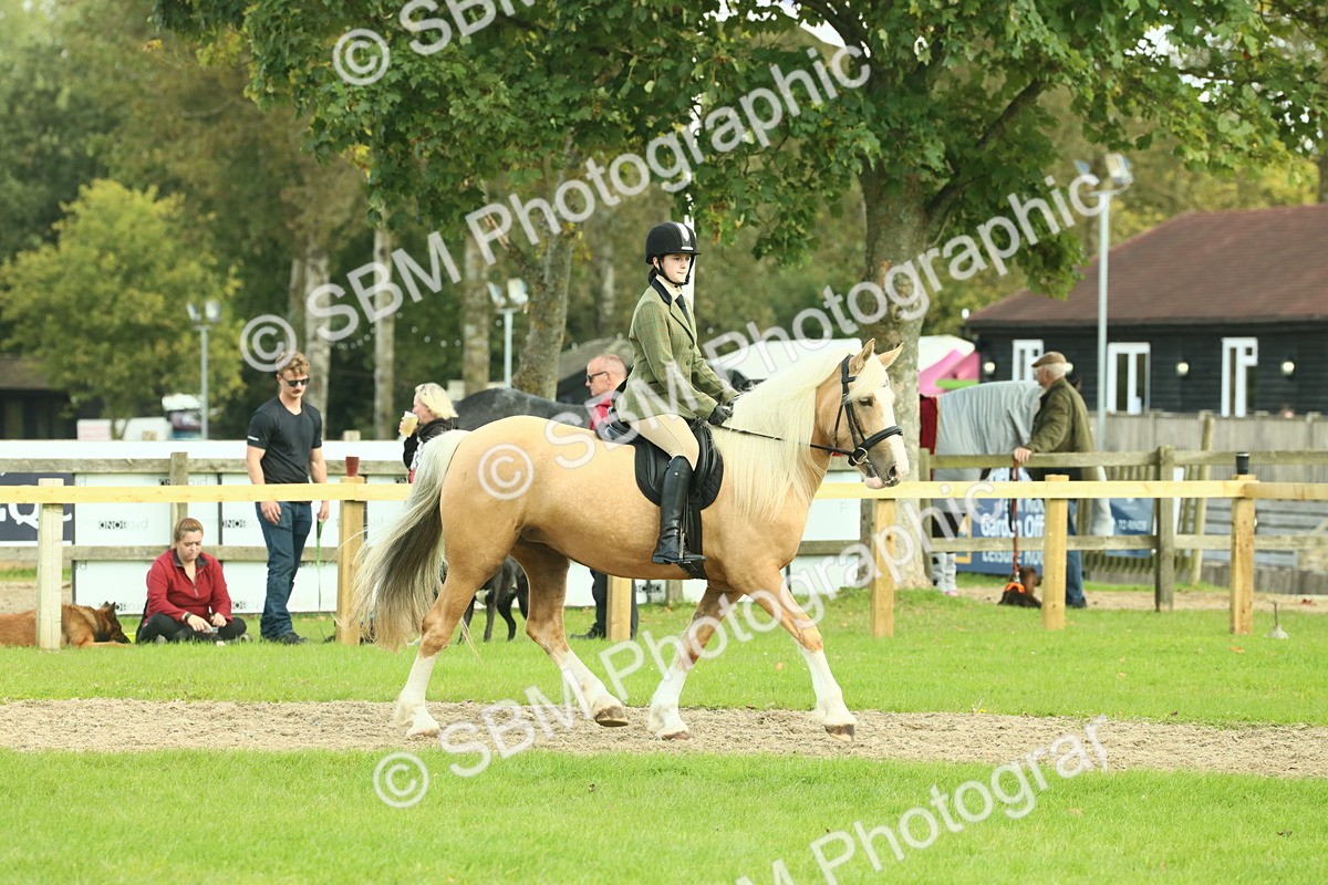 SBM_62645 - S63 - Other Coloured Horse Ridden