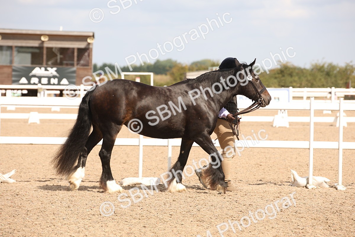 SBM_04522 - Class 20 IH Veteran
