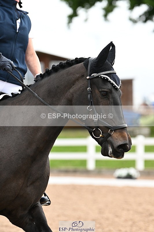 240623A-101423-16622 - Cls 29+30 Quest Prelim 12