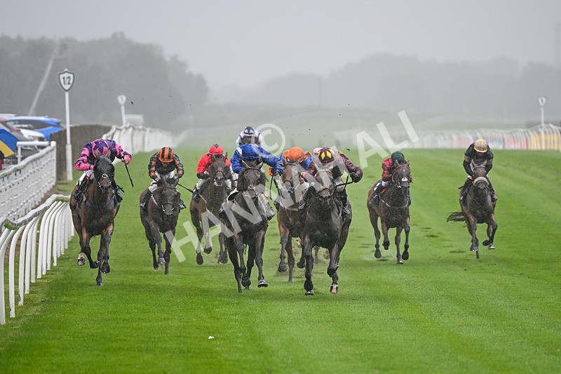 230725-Race 3-Emerald Army-0015 - Race 3