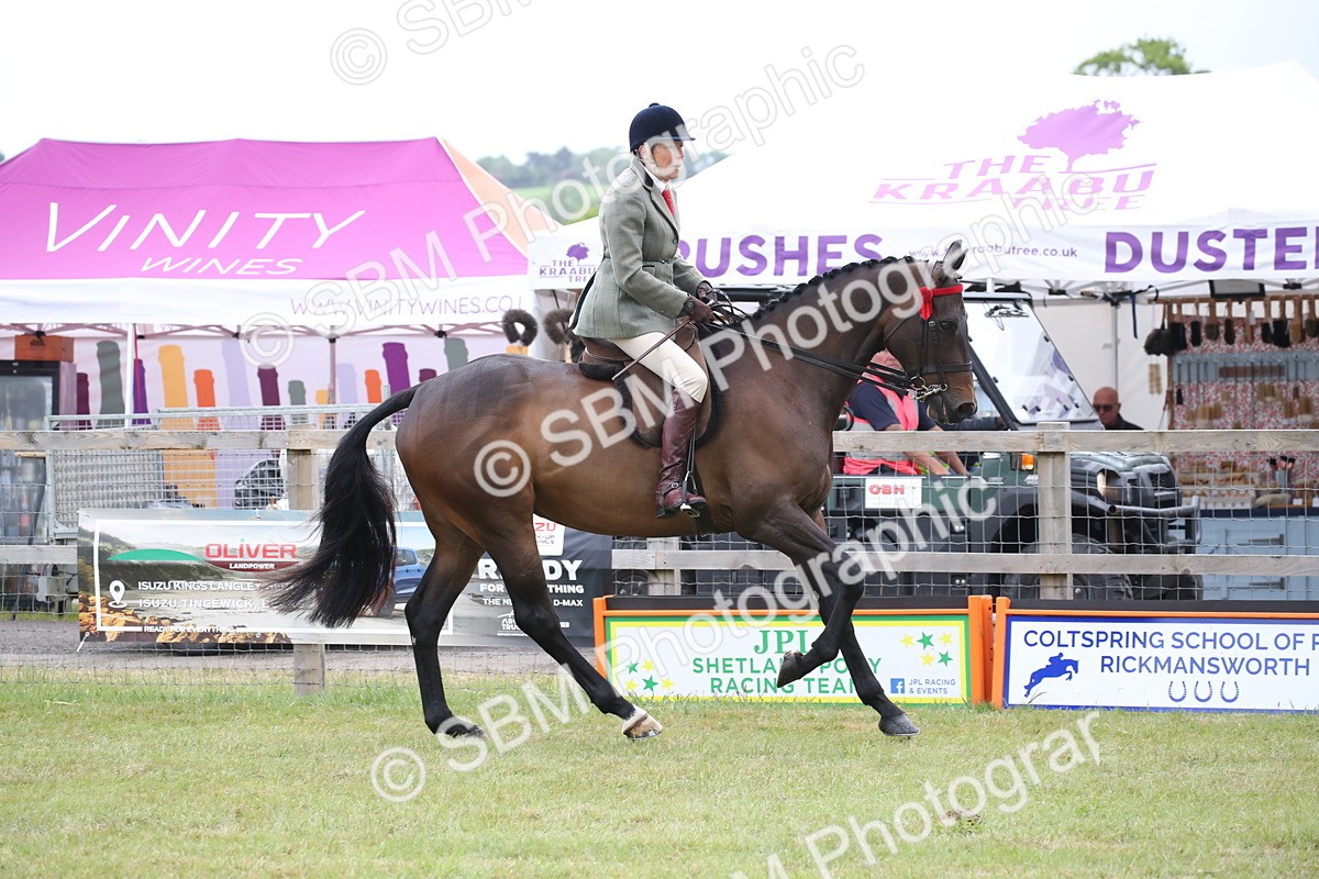 SBM_11418 - Class 94 - LIHS BSHA Racehorse to Showhorse