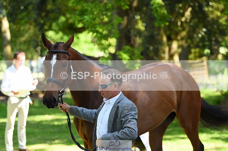 230524-151106-00112 - 312-J'ADORE_SALSA-Michael_Owen-WEDTrotUp+DR