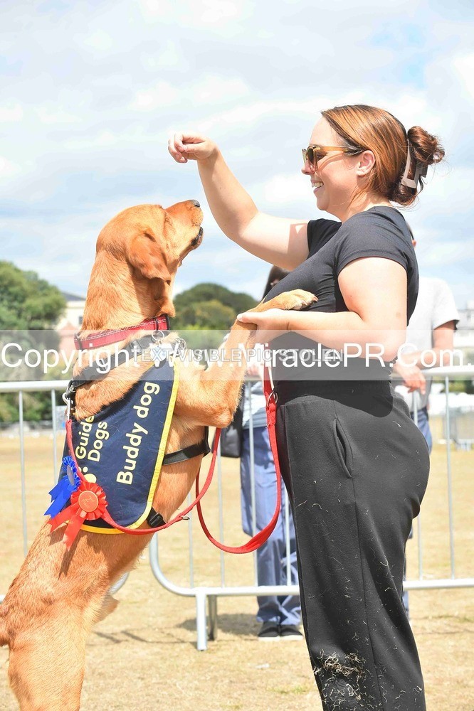 SH4_0258 - Dog show.