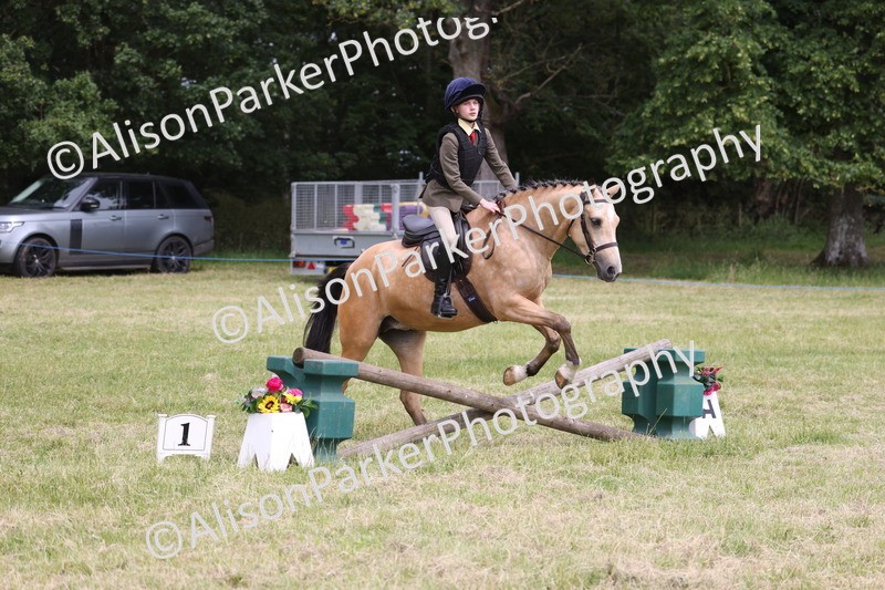 20260614-2950 - Class 22 - Open Working Hunter