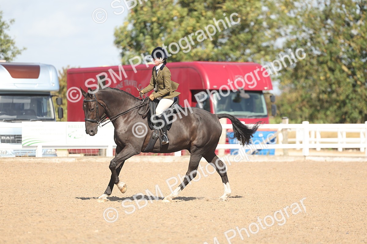 SBM_22661 - Class 805 - Ridden Veteran Horse