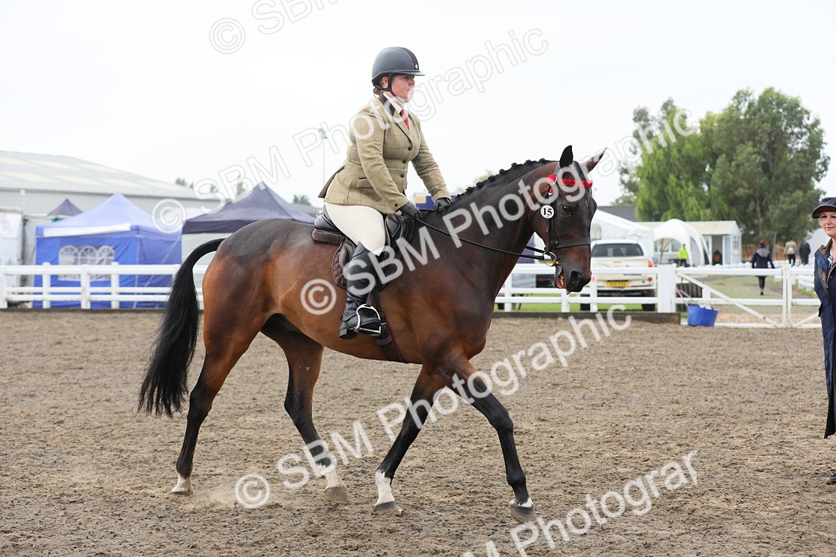 SBM_21318 - Class 805 - Ridden Veteran Horse