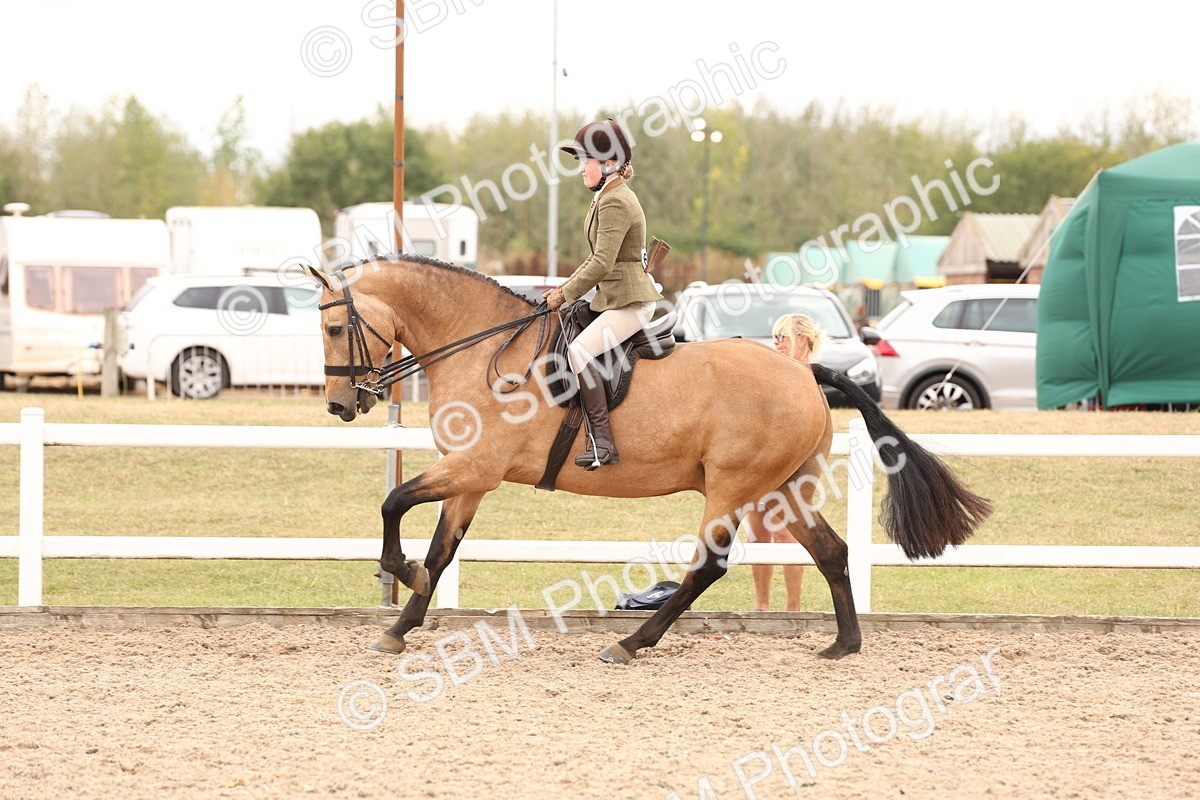 SBM_17252 - Class 213 - Ridden Hunter - Large