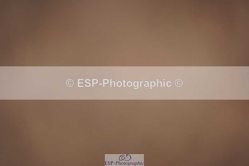 240418A-131755-03158 - Cls 37, Amateur 1.05m