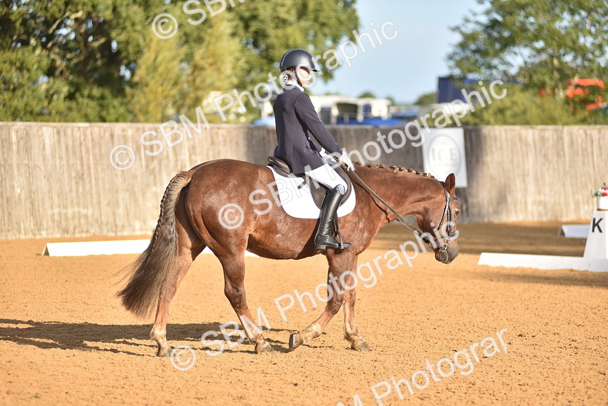 SBM_15713 - D4 - Small Tour Championship Intro 4
