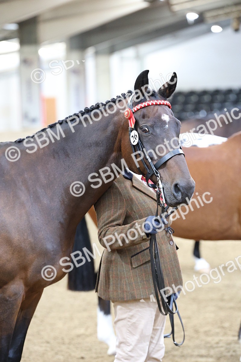 SBM_21860 - Class 901 - Supreme Final - IH  Diamond