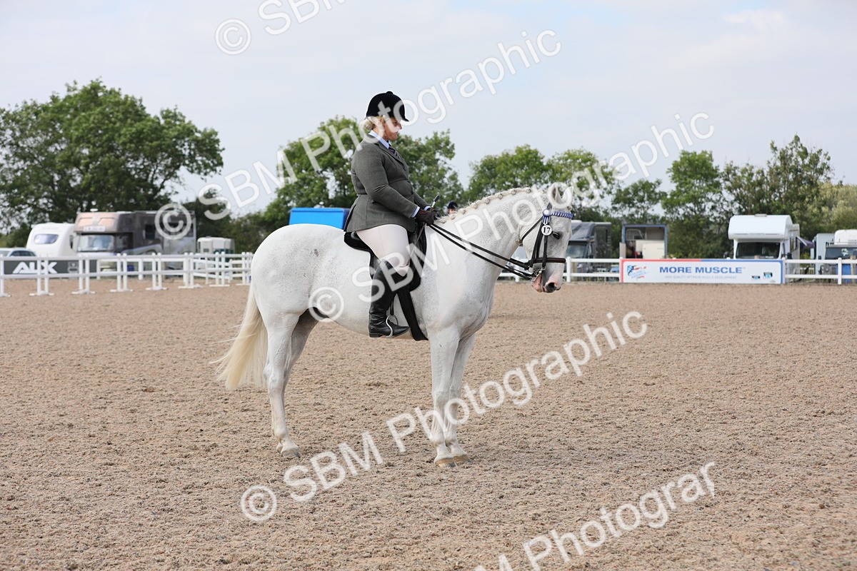 SBM_13376 - Class 308 Ridden Coloured Horse