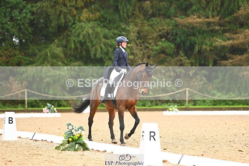 231021-121831-15111 - 347-SHANBEG.PANDORA-Alice.Gates-DR