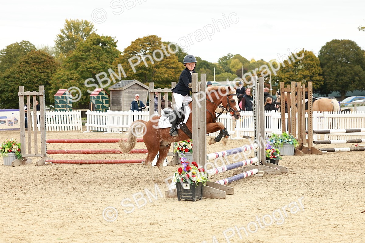 SBM_65298 - Supreme Championship 50cm & 55cm