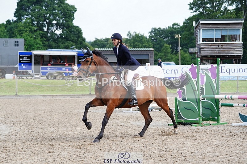 250615A-092552-09846 - Class 43 British Novice 90cm Open