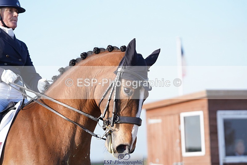 250403-084124-00054 - 017-Anna.Wilson-Escojunio.Ballante