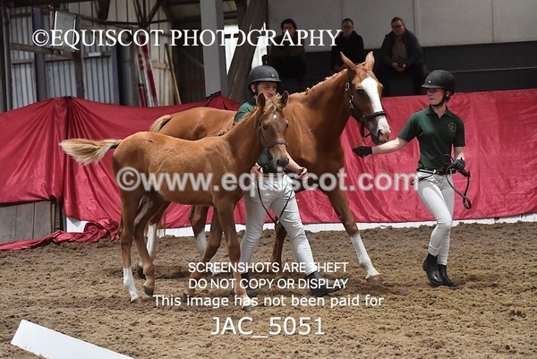 JAC_5051 - 9 Zinzipan