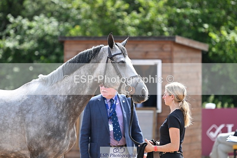 240717A-150842-02578 - Trot Up 3pm to 4pm