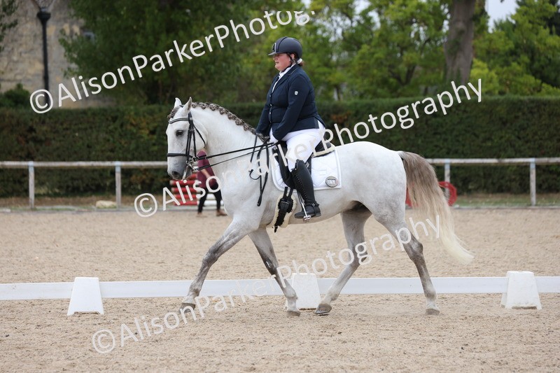 20250820-1045 - Class 17 - Elementary 4