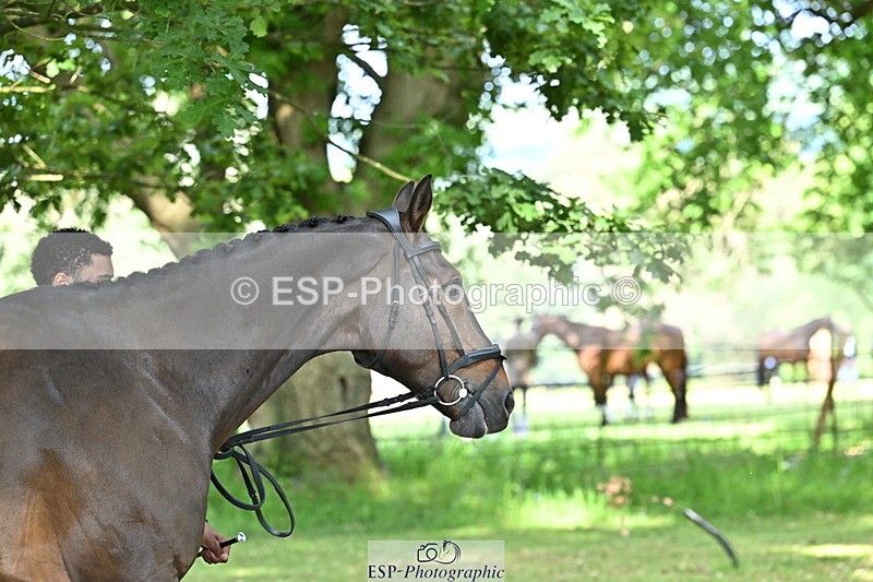 250521A-164303-01296 - C-255-Rupert.Hyde-LEONIDAS.VAN.DE.CRUMELHAEVE