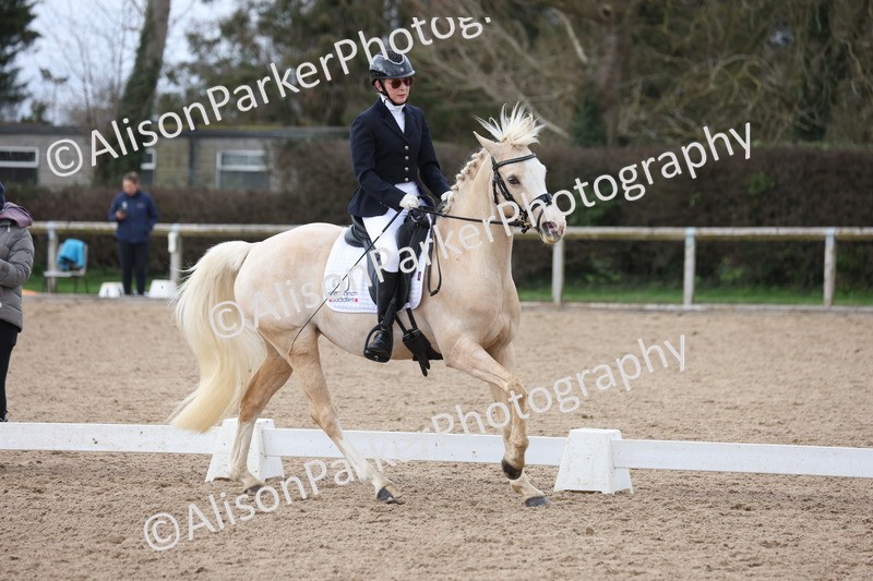 20260301-0478 - Class 3 - Novice 4