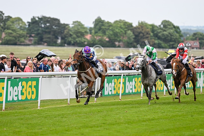 240525-Race 5-Mysteryofthesands-1536