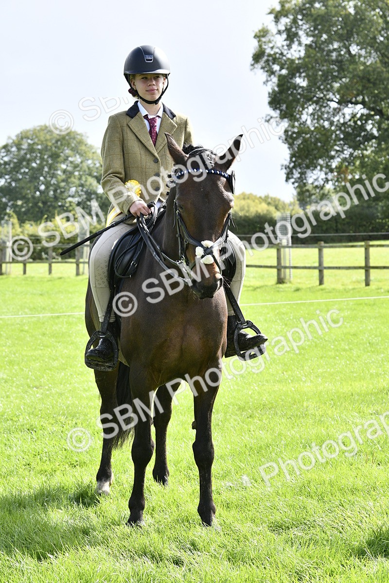 SBM_41684 - S32 - Mountain & Moorland Working Hunter Pony